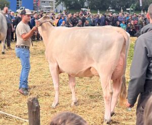 Lematter`s Haegar Basseya